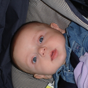 DSC00804.JPG