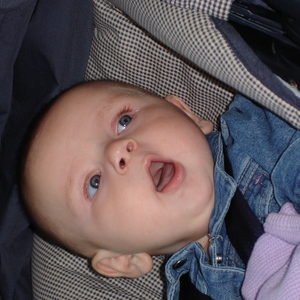 DSC00806.JPG