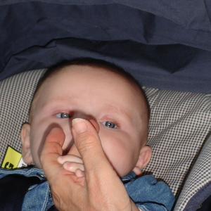 DSC00827.JPG