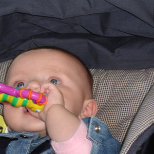 DSC00850.JPG