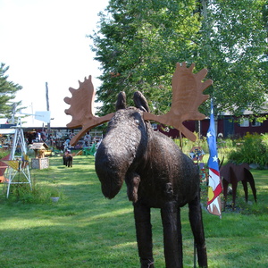 DSC00866.JPG