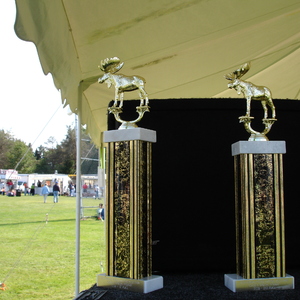 DSC00978.JPG