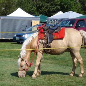 DSC00982.JPG