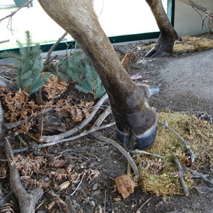 DSC00990.JPG