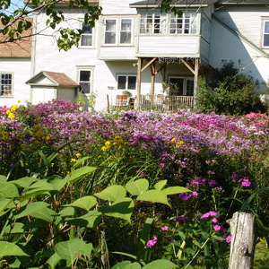 DSC00994.JPG
