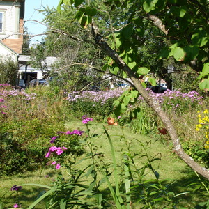 DSC00995.JPG
