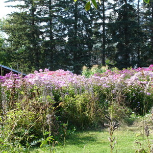 DSC00996.JPG