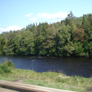 DSC01008.JPG