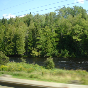 DSC01009.JPG