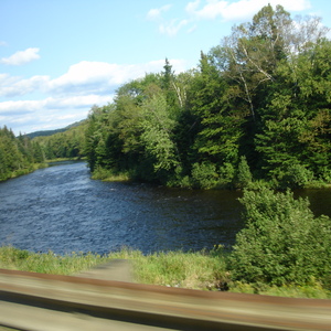 DSC01010.JPG