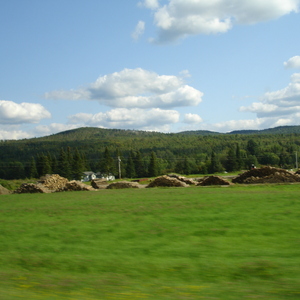 DSC01011.JPG