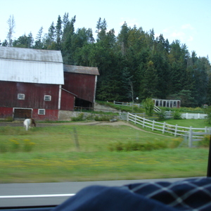 DSC01013.JPG