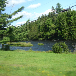DSC01015.JPG