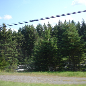 DSC01016.JPG