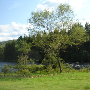 DSC01017.JPG