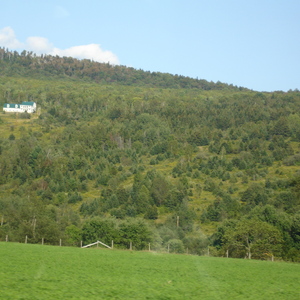 DSC01025.JPG