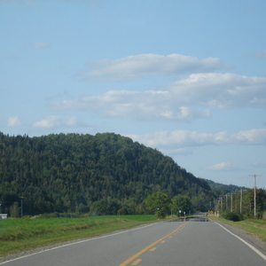 DSC01028.JPG