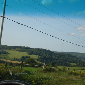 DSC01036.JPG