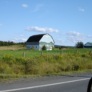 DSC01047.JPG