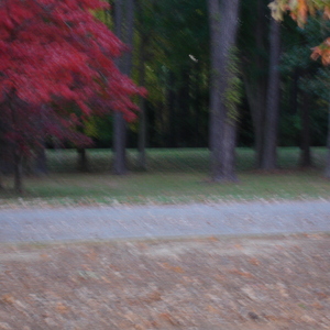 00011.jpg