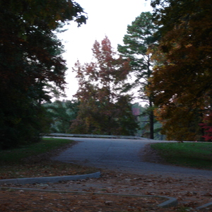 00012.jpg