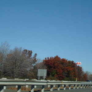 00054.jpg