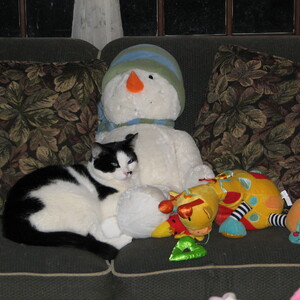 IMG_0372.jpg