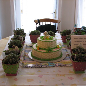 IMG_0387.jpg