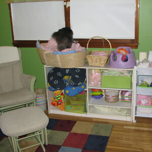 2006_Kitties_turkeys_nursery