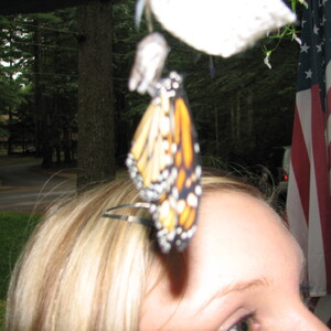 IMG_1516.JPG