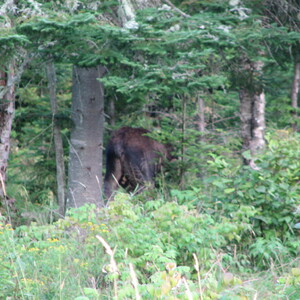 IMG_1574.JPG