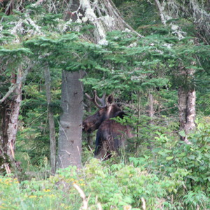 IMG_1576.JPG