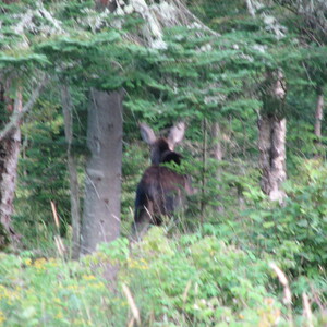 IMG_1577.JPG