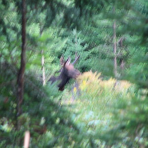 IMG_1586.JPG