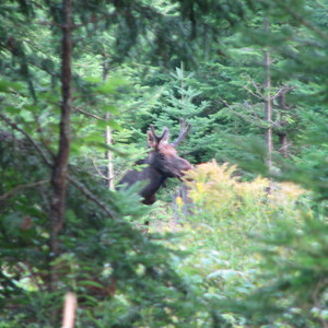 IMG_1587.JPG