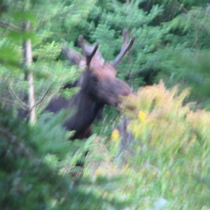 IMG_1588.JPG