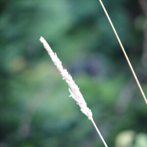 IMG_1591.JPG