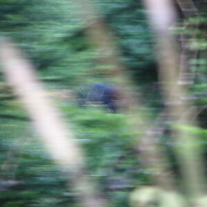 IMG_1592.JPG