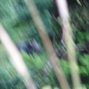 IMG_1593.JPG