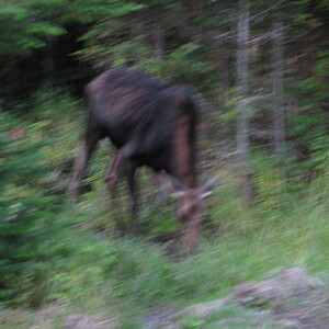IMG_1598.JPG