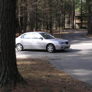 P1010028.jpg