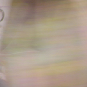 P1010079.jpg