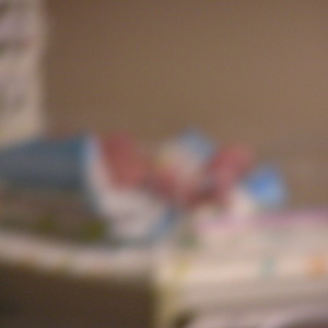 P1010080.jpg