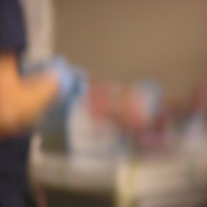 P1010084.jpg
