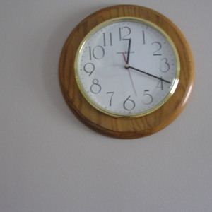 P1010124.jpg