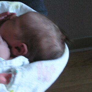 P1010166.jpg