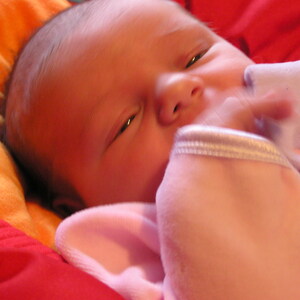 P1010201.jpg