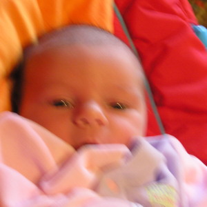P1010213.jpg