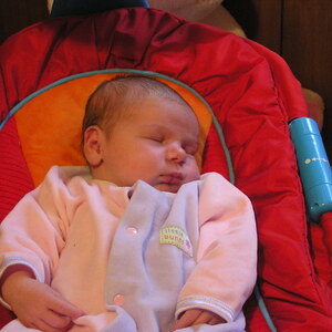 P1010235.jpg