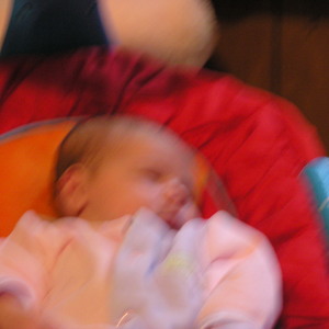 P1010237.jpg